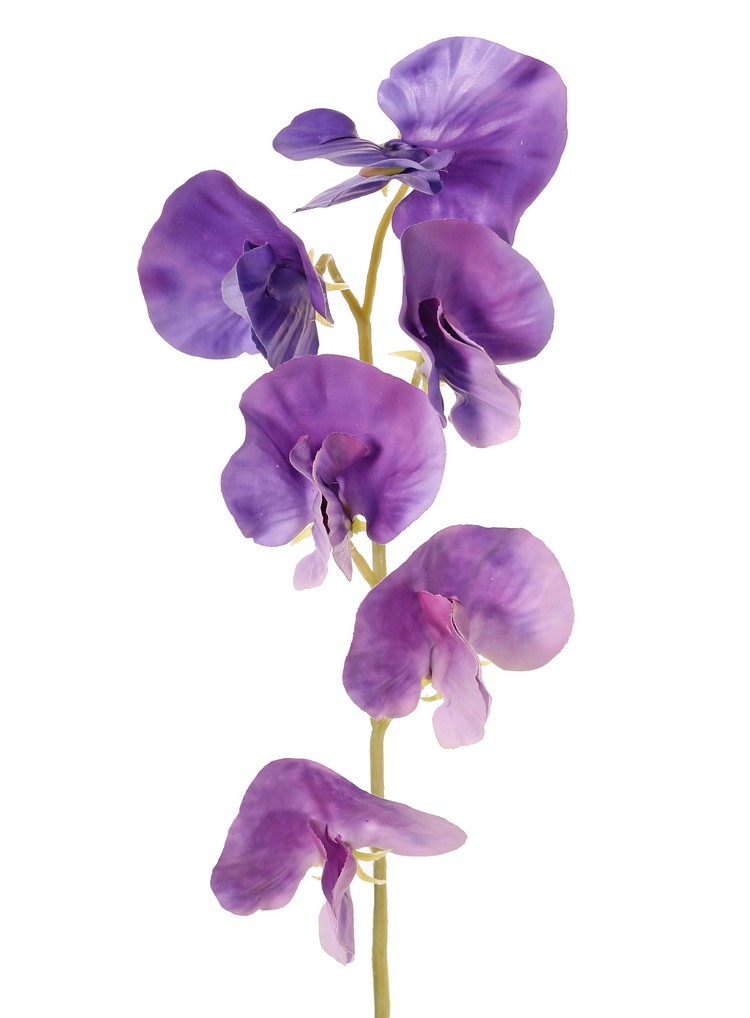 Grahor Vita – real touch, 35 cm