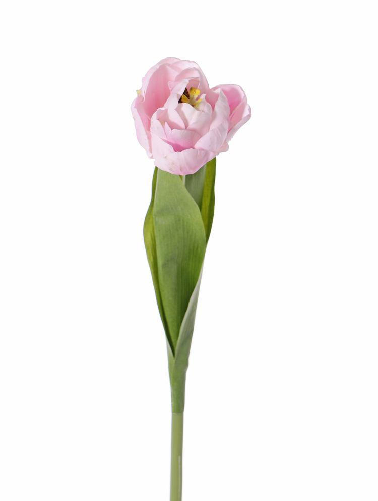 Tulipan Amelie – real touch, polni cvet, 45 cm